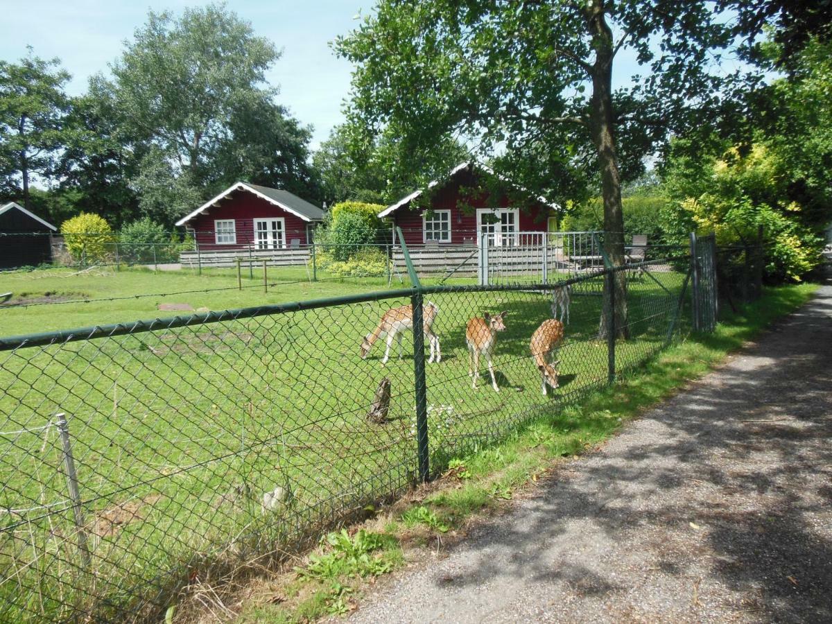 B&B Landgoed Sonneborghe Kollumerzwaag Exteriér fotografie