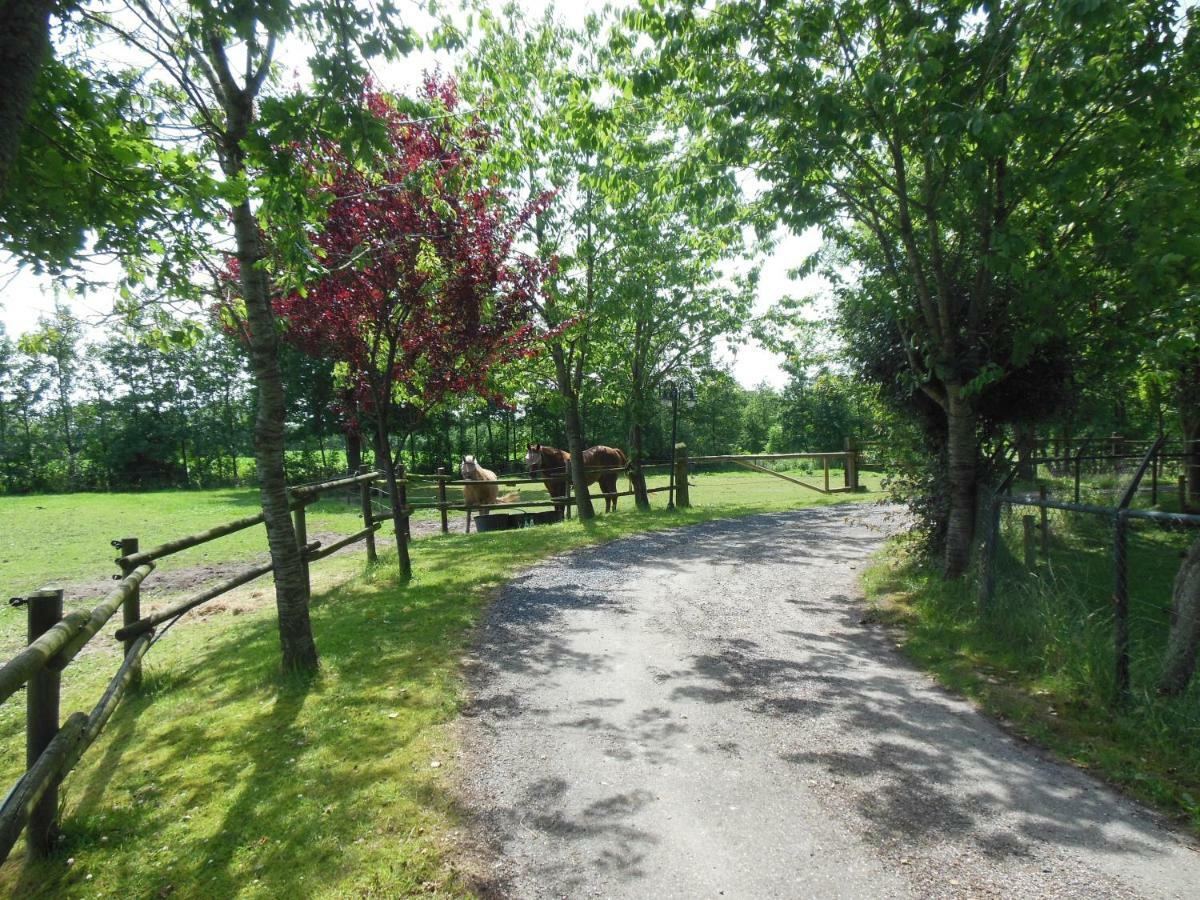 B&B Landgoed Sonneborghe Kollumerzwaag Exteriér fotografie
