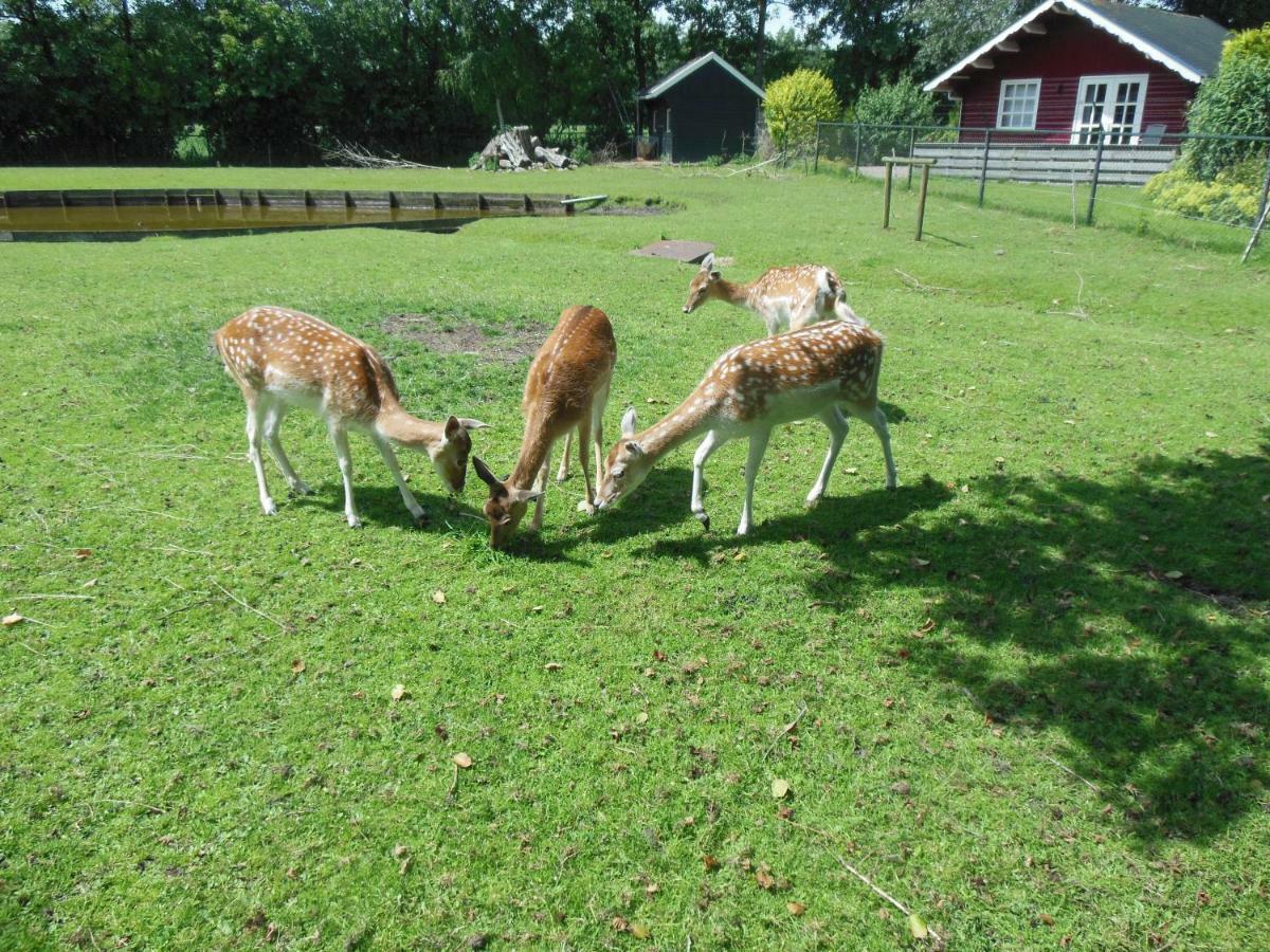 B&B Landgoed Sonneborghe Kollumerzwaag Exteriér fotografie