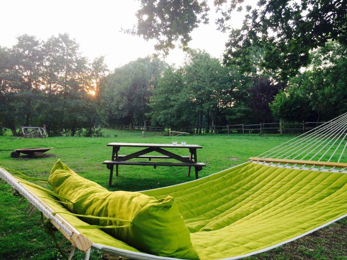 B&B Landgoed Sonneborghe Kollumerzwaag Exteriér fotografie